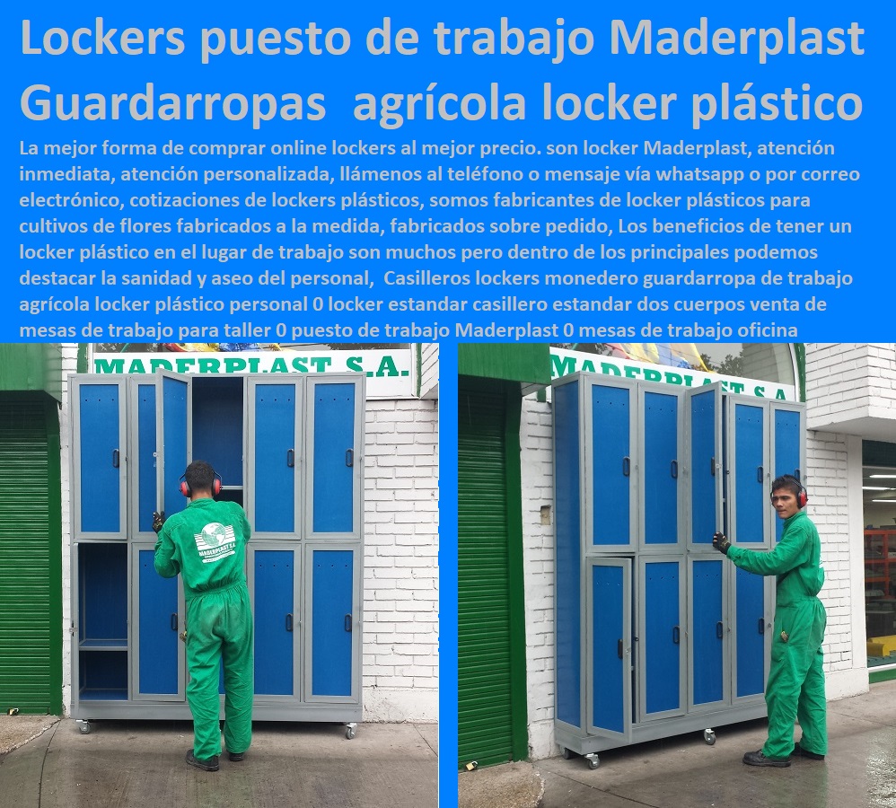 Casilleros lockers monedero guardarropa de trabajo agrícola locker plástico personal 0 locker estandar casillero estandar dos cuerpos venta de mesas de trabajo para taller 0 puesto de trabajo Maderplast 0 CULTIVOS TECNIFICADOS, INVERNADEROS, Semilleros, Bancos De Siembra, Hidroponía, Agricultura, Cosecha, Poscosecha, Tutores Para Flores, Cable Vía Bananas Aromáticas, mesas de trabajo oficina Casilleros lockers monedero guardarropa de trabajo agrícola locker plástico personal 0 locker estandar casillero estandar dos cuerpos venta de mesas de trabajo para taller 0 puesto de trabajo Maderplast 0 mesas de trabajo oficina